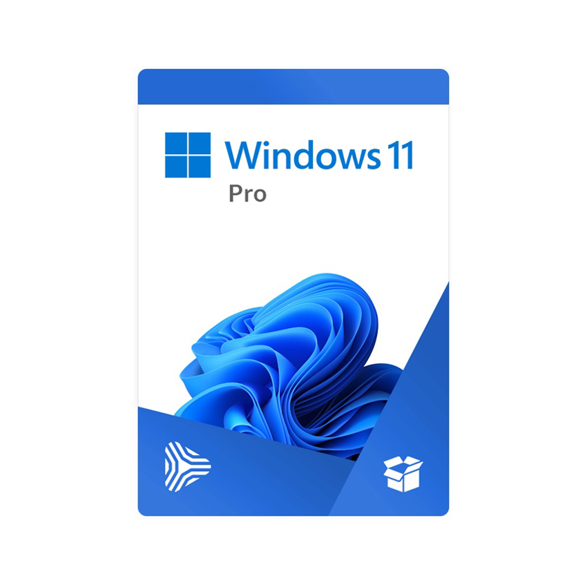 65829_windows_11_pro_64bit_eng_intl_1pk_dsp_oei_dvd